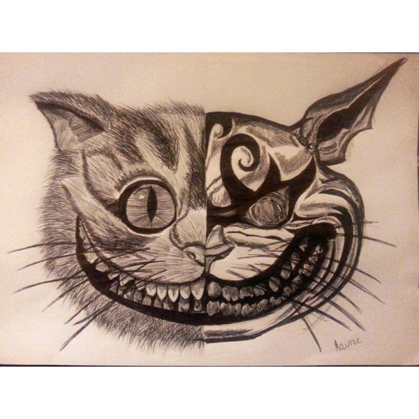 Кот из Алисы в стране чудес рисунок