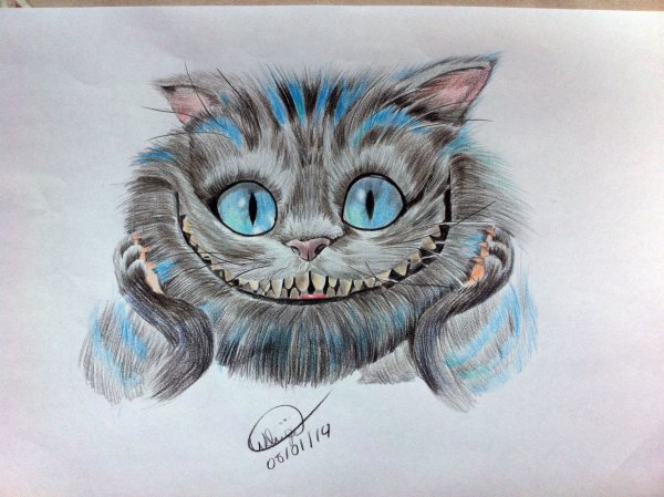 Чеширский кот из Алисы в стране чудес рисунки