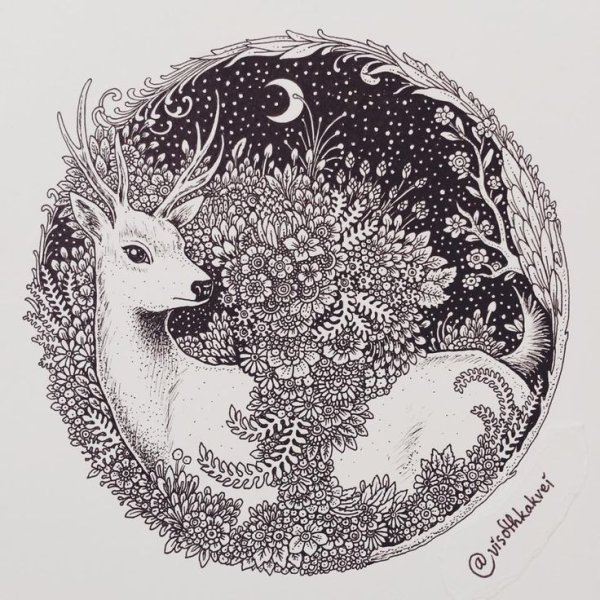 Животные капиллярной ручкой