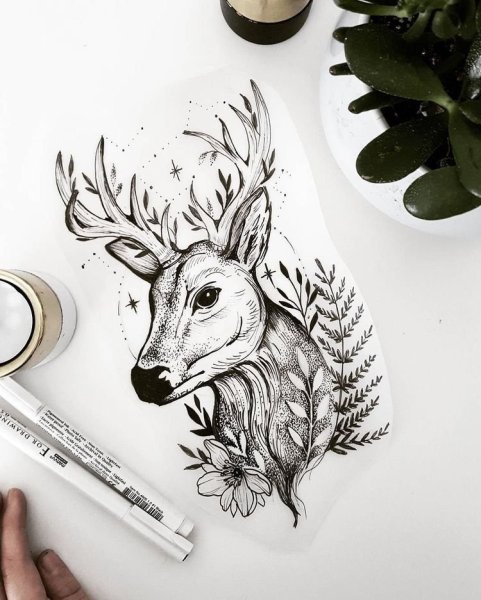 Олень тату эскиз