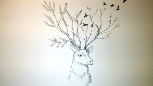 Что нарисовать