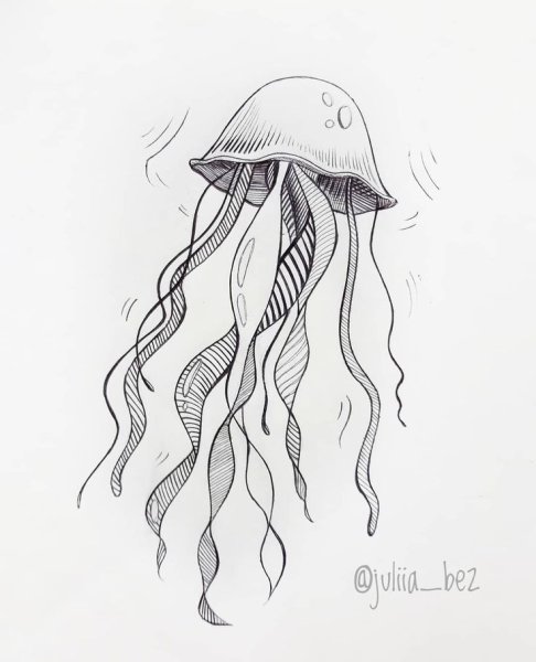 Медуза скетч