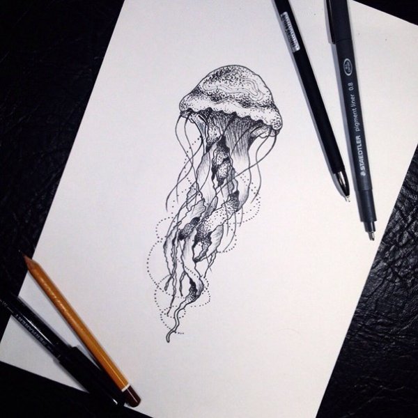 Тату медузы не реализм эскиз