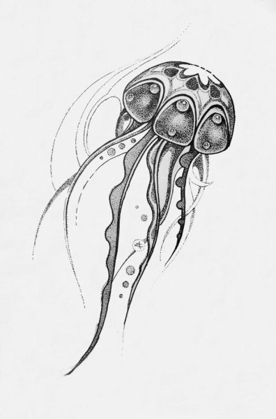 Медуза эскиз