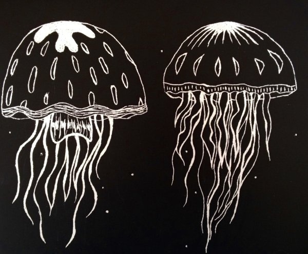 Граттаж медузы