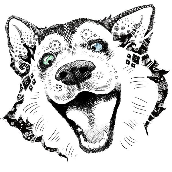 Тату хаски эскиз