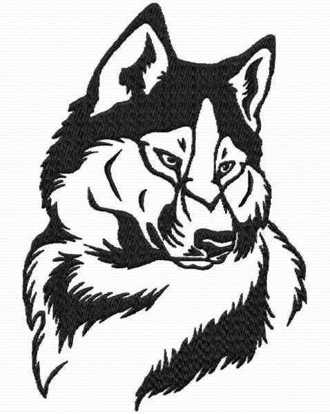 Волк черным маркером