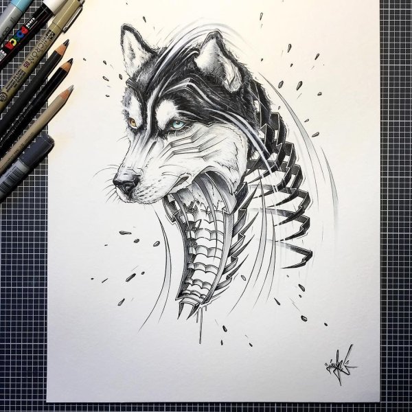 Тату добермана в стиле скетч