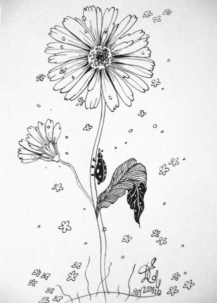 Ромашки в графике