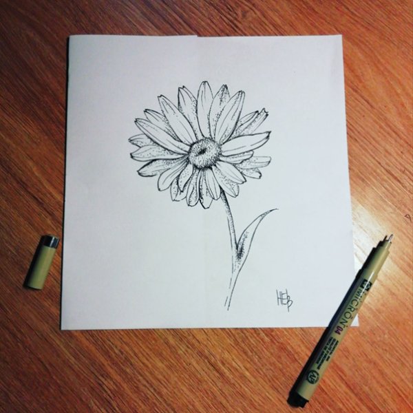 Ромашка рисунок ручкой