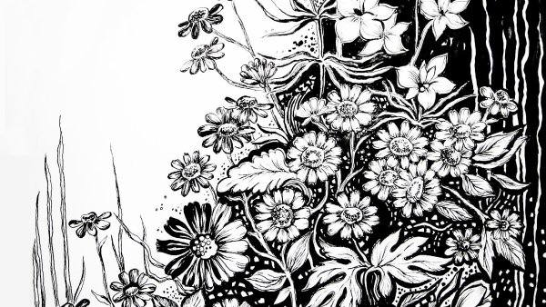 Растения тушью