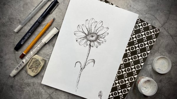 Ромашки гелевой ручкой