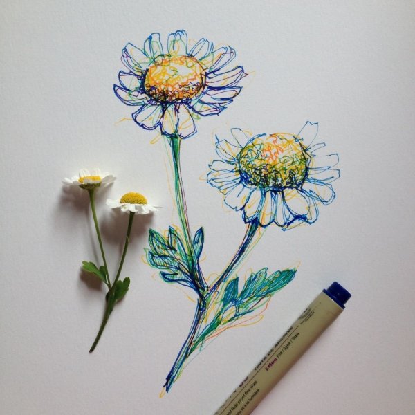 Идеи для рисования цветов