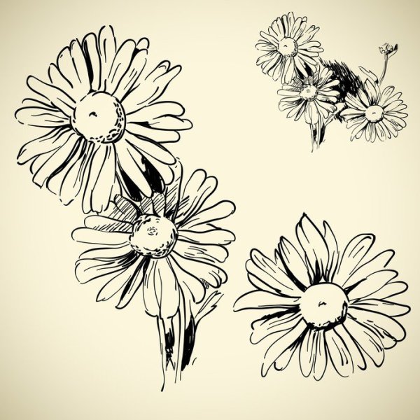 Стилизованные ромашки