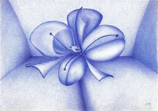 Цветы нарисованные ручкой