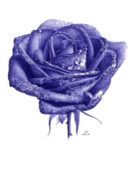 Цветы шариковой ручкой