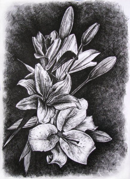 Наброски цветов ручкой