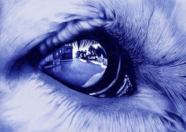 Глаз тату эскиз