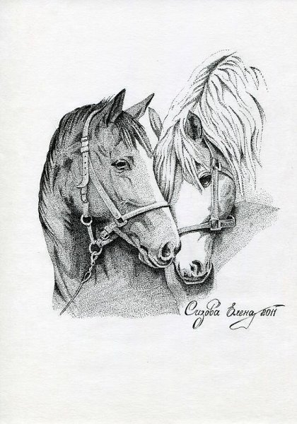 Лошадь черной ручкой