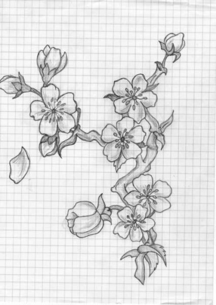Рисунки ручкой для срисовки цветы