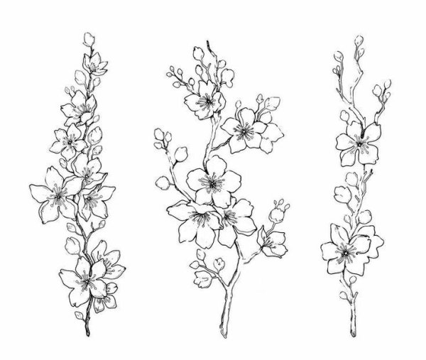 Тату веточки яблони цветущей