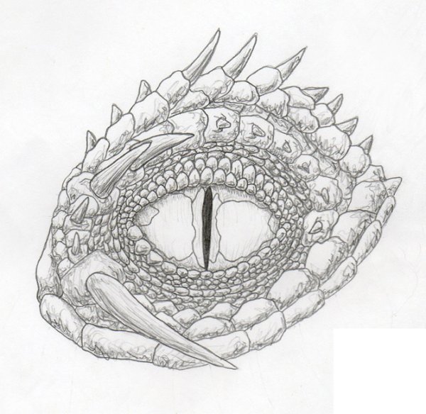Глаз дракона рисунок