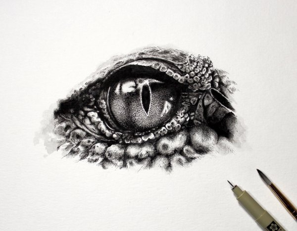 Глаз дракона тату эскиз