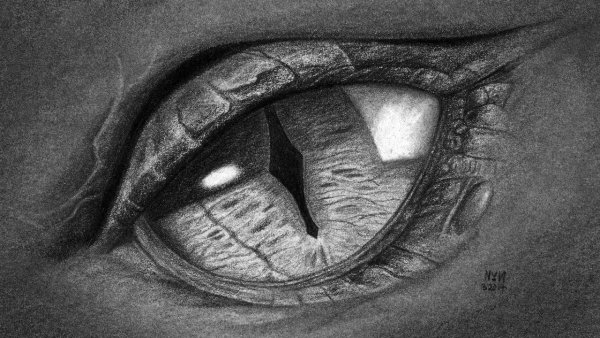 Глаза рисунок