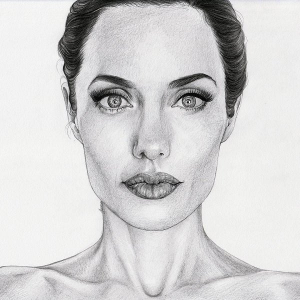 Анджелина Джоли портрет карандашом
