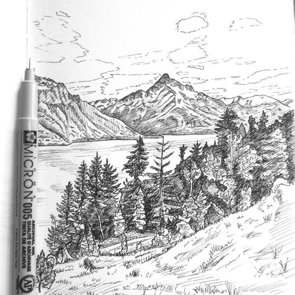 Пейзаж линером