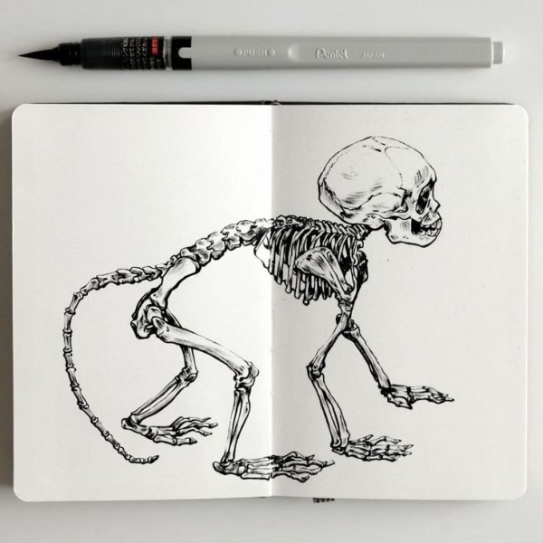 Скелет черной ручкой