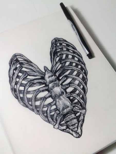 Скелет карандашом