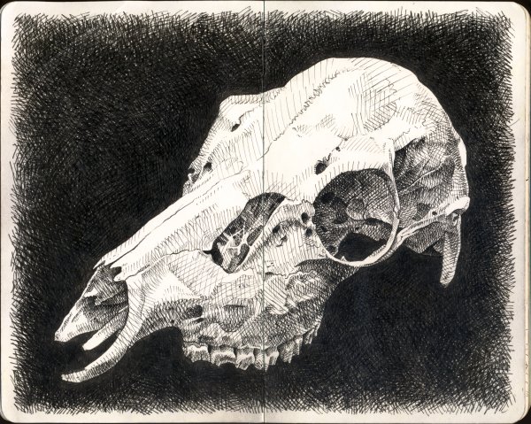 Эскиз тату на позвоночник