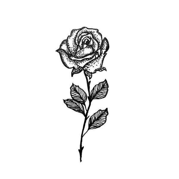 Тату роза чб