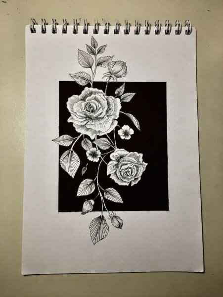 Цветы белой ручкой