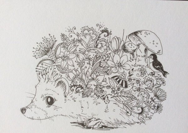 Ежик рисунок