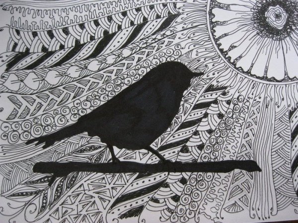 Графика черной ручкой