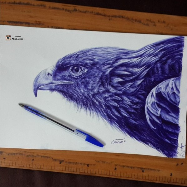 Пчела Графика