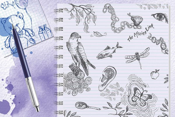 Зарисовки на полях тетради