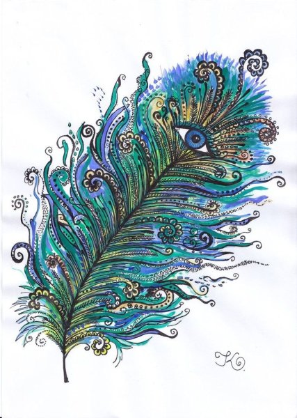 Зентангл Павлин