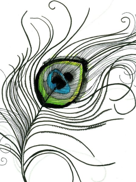 Перо Жар птицы Зентангл