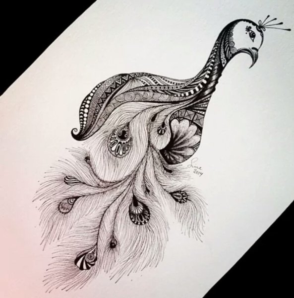 Павлин тату черно белая