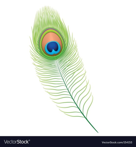 Перо павлина раскраска