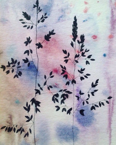 Цветы акварелью и черной ручкой