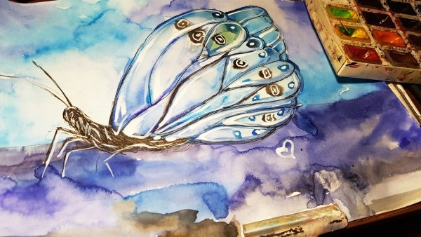 Рисунок акварелью и ручкой