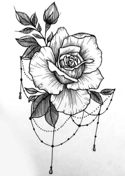 Роза випшейдинг