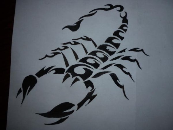 Тату на бумаге карандашом Скорпион