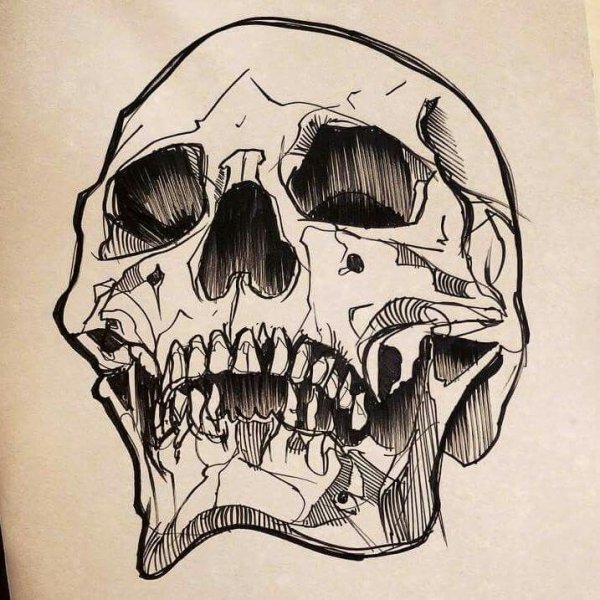 Череп эскиз