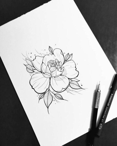 Цветы Графика эскиз