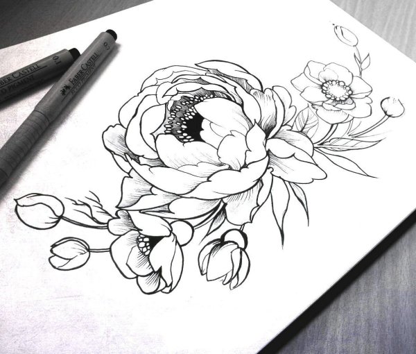 Тату эскиз пионы Графика
